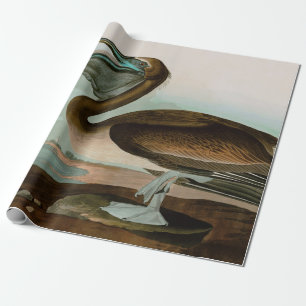 Brown Pelican Birds of America Audubon Print Wrapping Paper