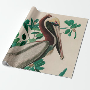 Brown Pelican Birds of America Audubon Print Wrapping Paper