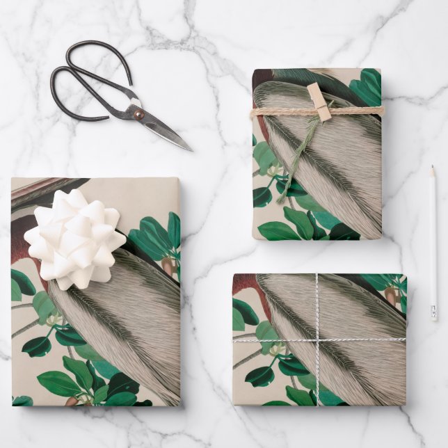 Brown Pelican Birds of America Audubon Print Wrapping Paper Sheet (Front)