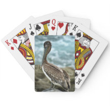 Brown Pelican by the Ocean