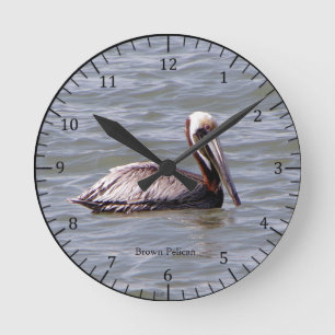 Brown Pelican clock