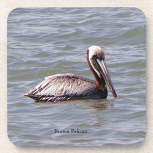 Brown Pelican coaster
