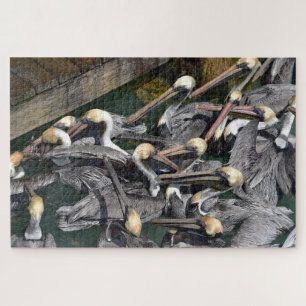 Brown Pelican Crowd, Florida Jigsaw Puzzle