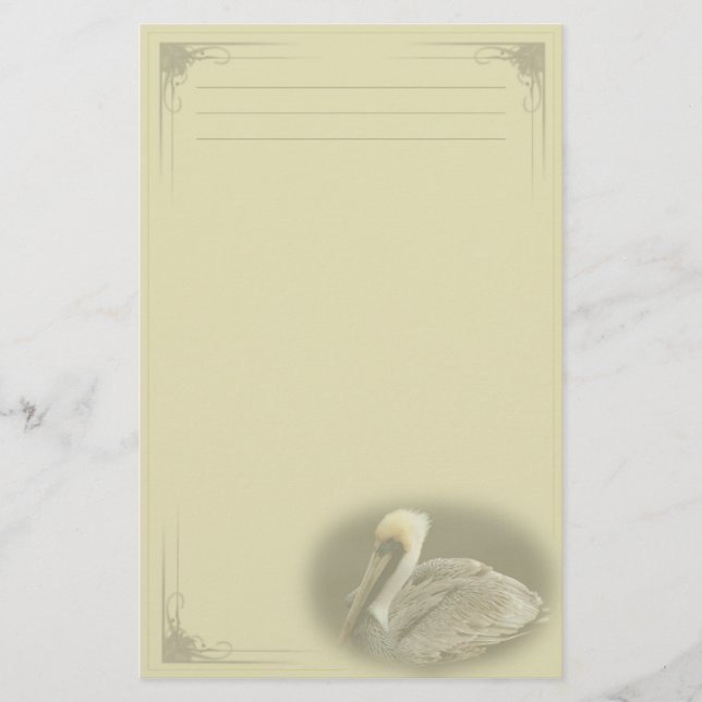 Brown Pelican Custom Stationery (Front)