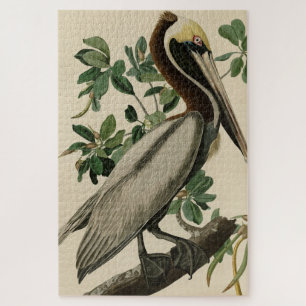 Brown Pelican from Audubon's Birds of America Jigsaw Puzzle