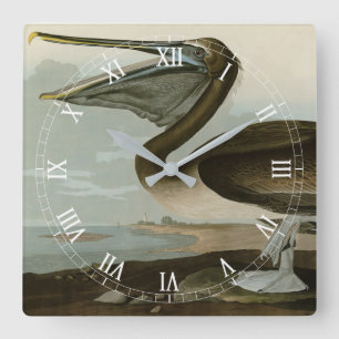 Brown Pelican from Audubon's Birds of America Square Wall Clock