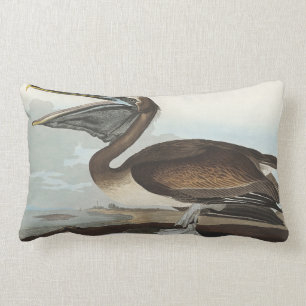 Brown Pelican from Birds of America Lumbar Cushion