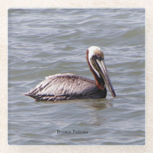 Brown Pelican glass coaster