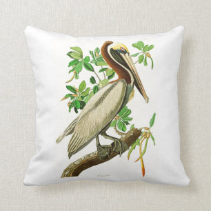 Brown Pelican John James Audubon Birds of America Cushion