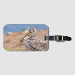 Brown Pelican Luggage Tag