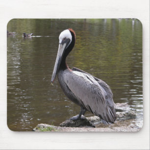 Brown Pelican Mouse Pad