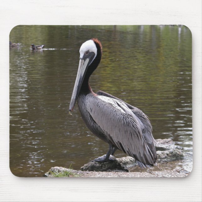 Brown Pelican Mouse Pad (Front)