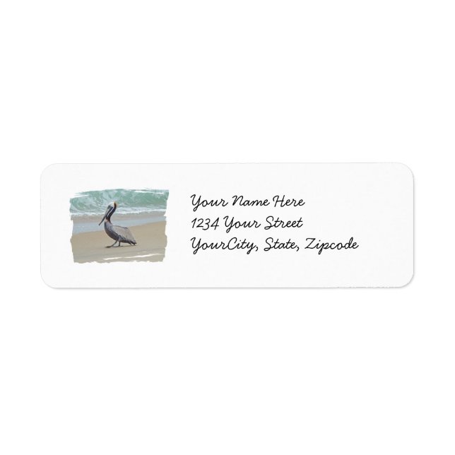 Brown Pelican on Beach Return Address Label (Front)