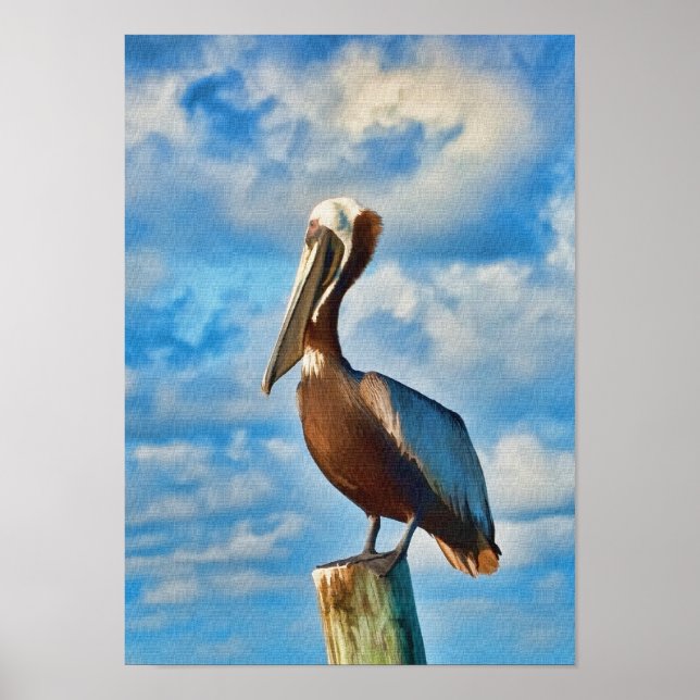 Brown Pelican on Post Poster or Print (Front)