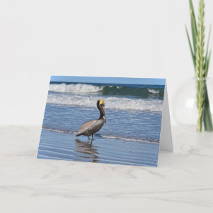 Brown Pelican on the Beach in Florida Card