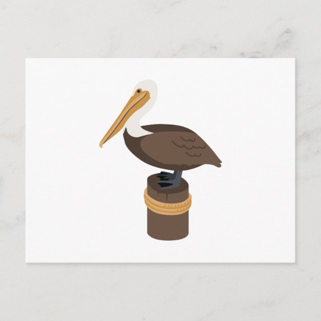 Brown Pelican Postcard (Front)