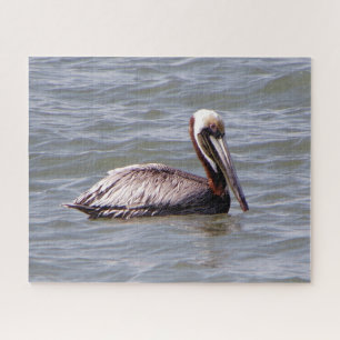 Brown Pelican puzzle