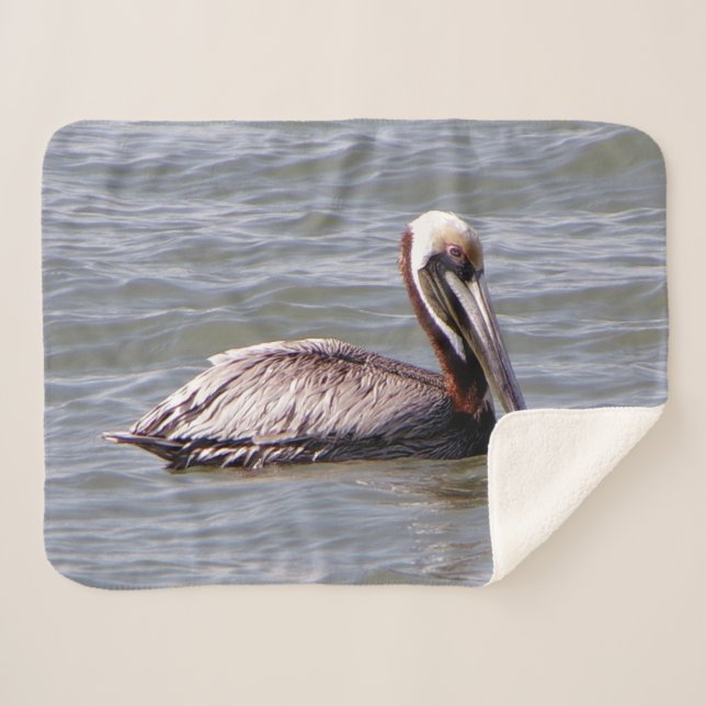 Brown Pelican sherpa blanket (Front (Horizontal))