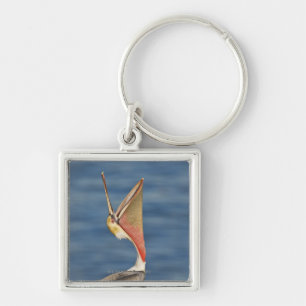 Brown Pelican with mouth open Key Ring