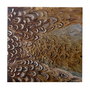 Brown Pheasant Feather Design Tile
