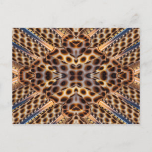 Brown pheasant feather kaleidoscope postcard