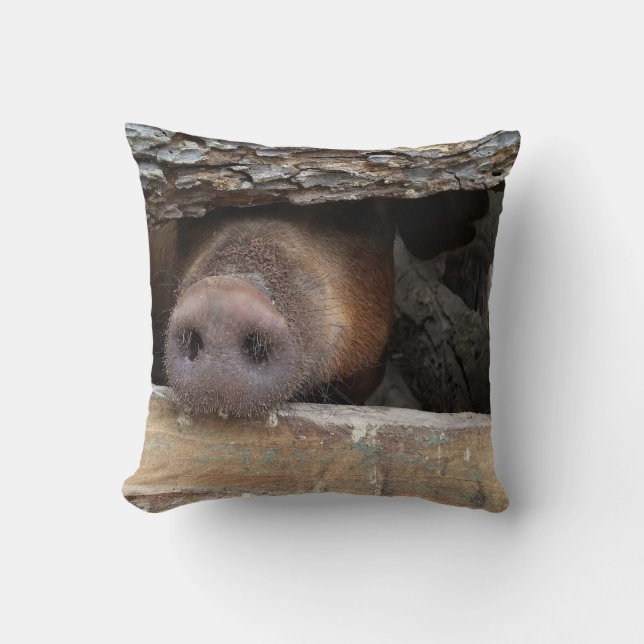 Brown Pig Poking Nose through Rustic Fence Cushion (Front)