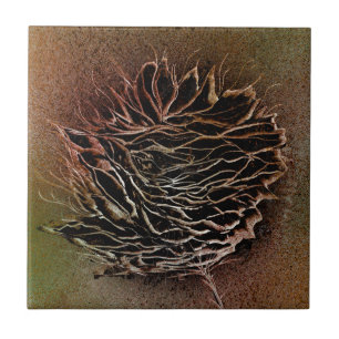 Brown Pinecone Ceramic Tile