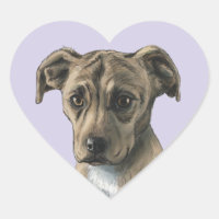 Brown Pit Bull Puppy Drawing