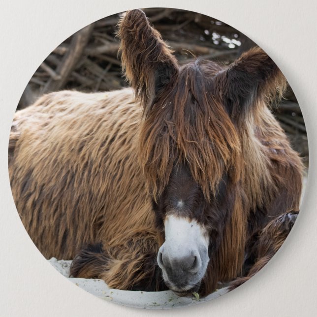 Brown Poitou Donkey 6 Cm Round Badge (Front)
