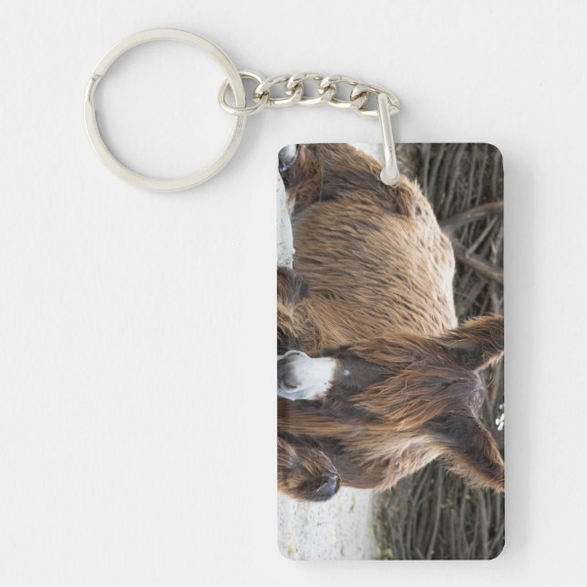 Brown Poitou Donkey Key Ring (Front)