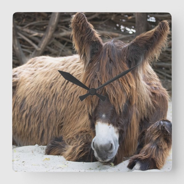 Brown Poitou Donkey Square Wall Clock (Front)