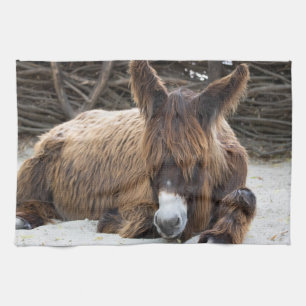 Brown Poitou Donkey Tea Towel
