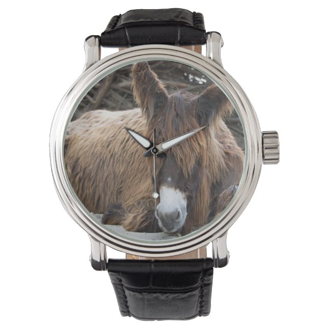 Brown Poitou Donkey Watch (Front)