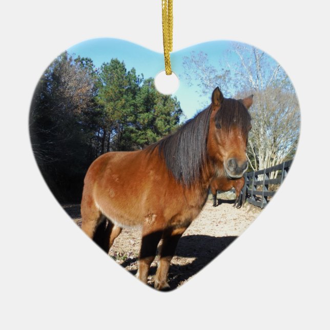 Brown pony turquoise Sky Ceramic Ornament (Front)