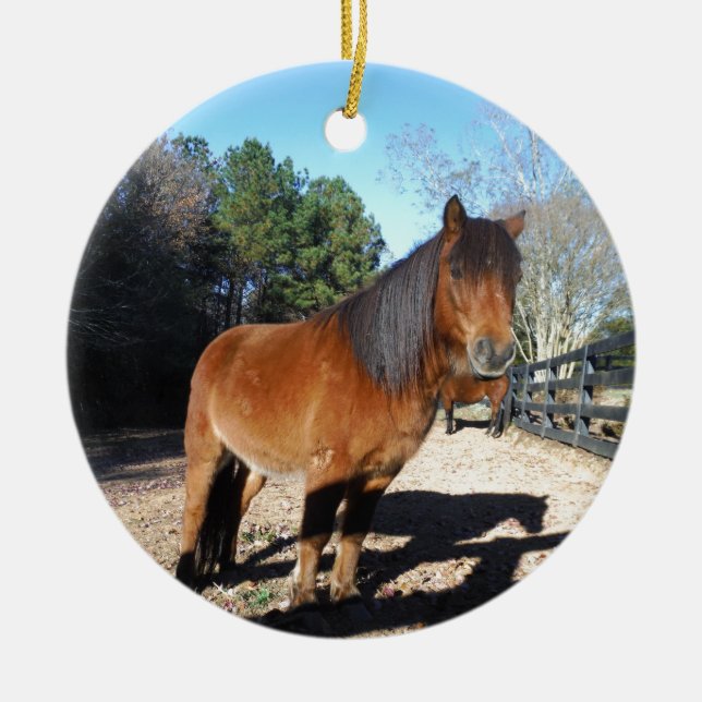 Brown pony turquoise Sky Ceramic Tree Decoration (Front)