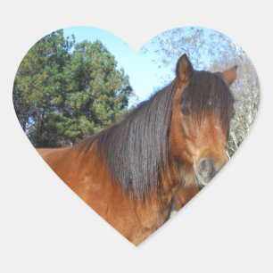 Brown pony turquoise Sky Heart Sticker