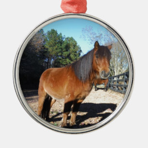 Brown pony turquoise Sky Metal Ornament