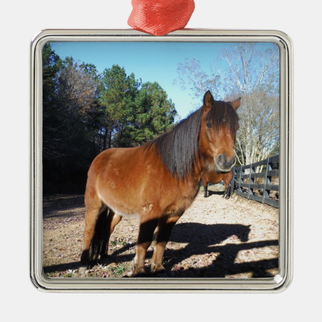 Brown pony turquoise Sky Metal Ornament (Front)