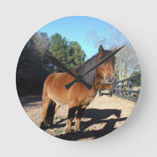 Brown pony turquoise Sky Round Clock