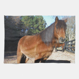 Brown pony turquoise Sky Tea Towel