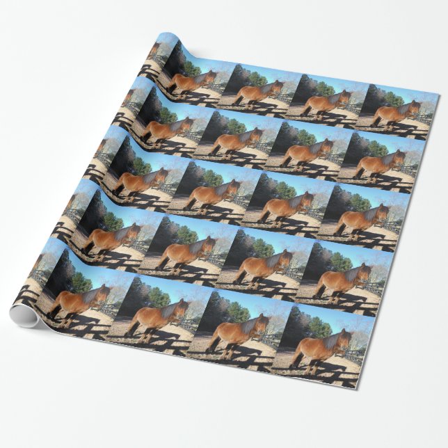 Brown pony turquoise Sky Wrapping Paper (Unrolled)
