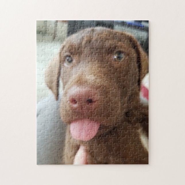 Brown Puppy Jigsaw Puzzle (Vertical)