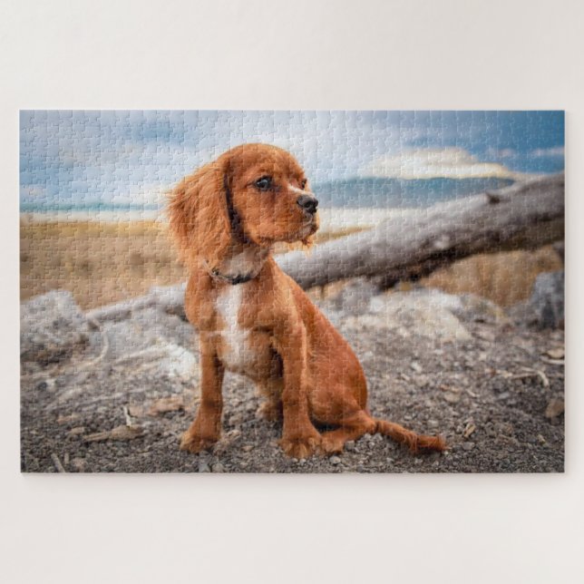 Brown puppy viewing outdoors jigsaw puzzle (Horizontal)