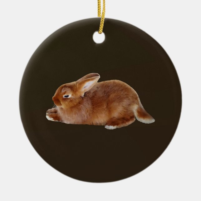 Brown Rabbit Ceramic Ornament (Front)