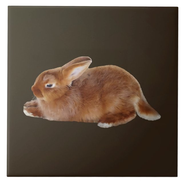 Brown Rabbit Ceramic Tile (Front)