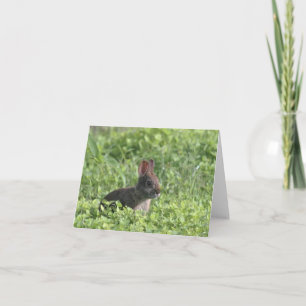Brown Rabbit Photo Blank Note Card
