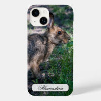 Brown Rabbit, Resting in Nature