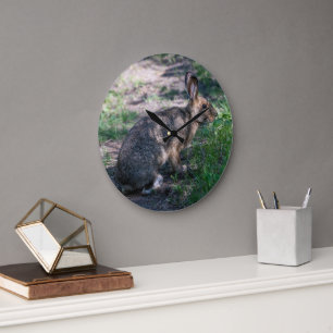 Brown Rabbit, Resting in Nature Large Clock