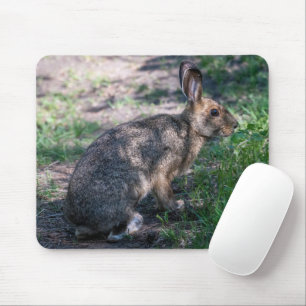 Brown Rabbit, Resting in Nature Mouse Pad