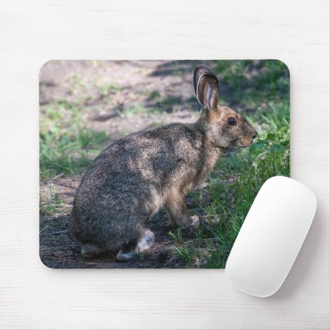 Brown Rabbit, Resting in Nature Mouse Pad (With Mouse)